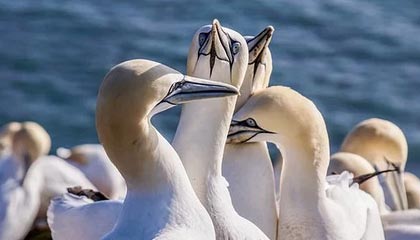 开云 中国 kaiyun·官方网站-Kaiyun云端之旅：用一站式云服务让创意照进现实