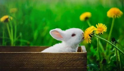 开云 中国 kaiyun·官方网站-Kaiyun云端之旅：用一站式云服务让创意照进现实